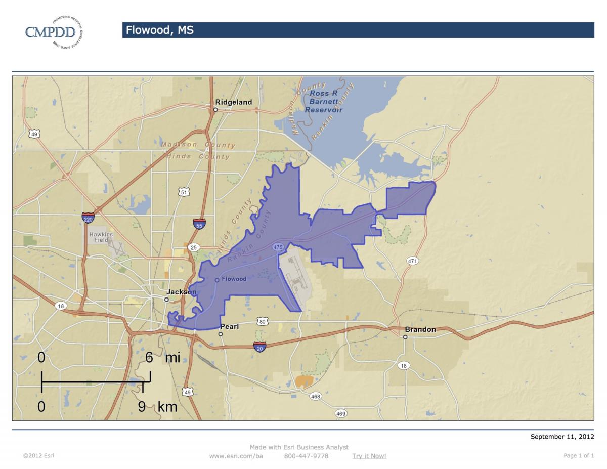 Demographics City of Flowood